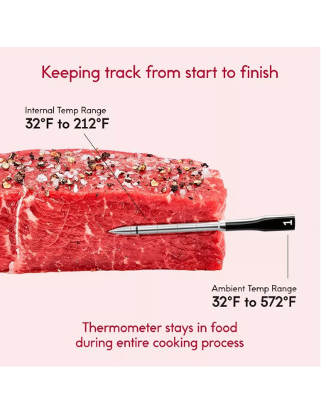 TERMOMETRO CHEF IQ INALAMBRICO 2 SONDAS SMART BT WIFI PARA PROTEINA NEGRO